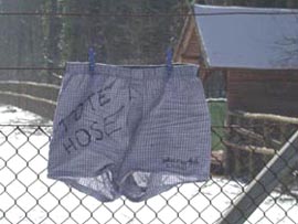 Bild:Tote_Hose_9716.jpg